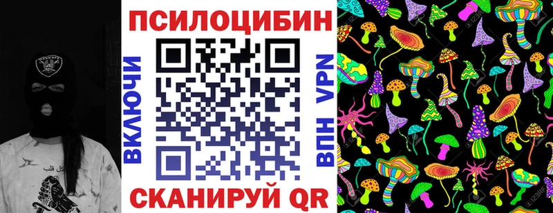 купить закладку Гаджиево Псилоцибиновые грибы Magic Shrooms